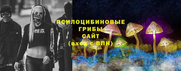 прущие грибы Алексеевка